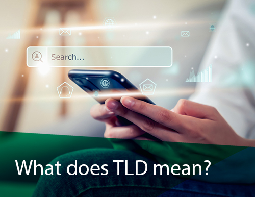 what does tld mean top level domain