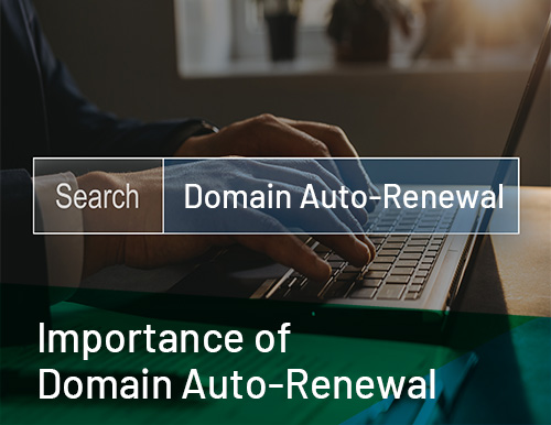 Renew domain name